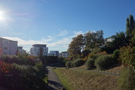 Phoenixsee, Standort PS15 am 16.10.16