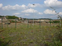 Phoenixsee, Standort PS01 am 28.06.09