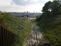 Phoenixsee, Standort PS15 am 28.06.09