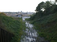 Phoenixsee, Standort PS15 am 16.07.09