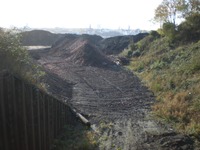 Phoenixsee, Standort PS15 am 25.10.09