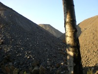 Phoenixsee, Standort PS09 am 11.07.10