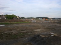 Phoenixsee, Standort PS01 am 19.08.10