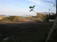 Phoenixsee, Standort PS09 am 21.11.10