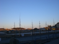 Phoenixsee, Standort PS04 am 07.03.11