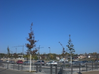 Phoenixsee, Standort PS04 am 23.10.11